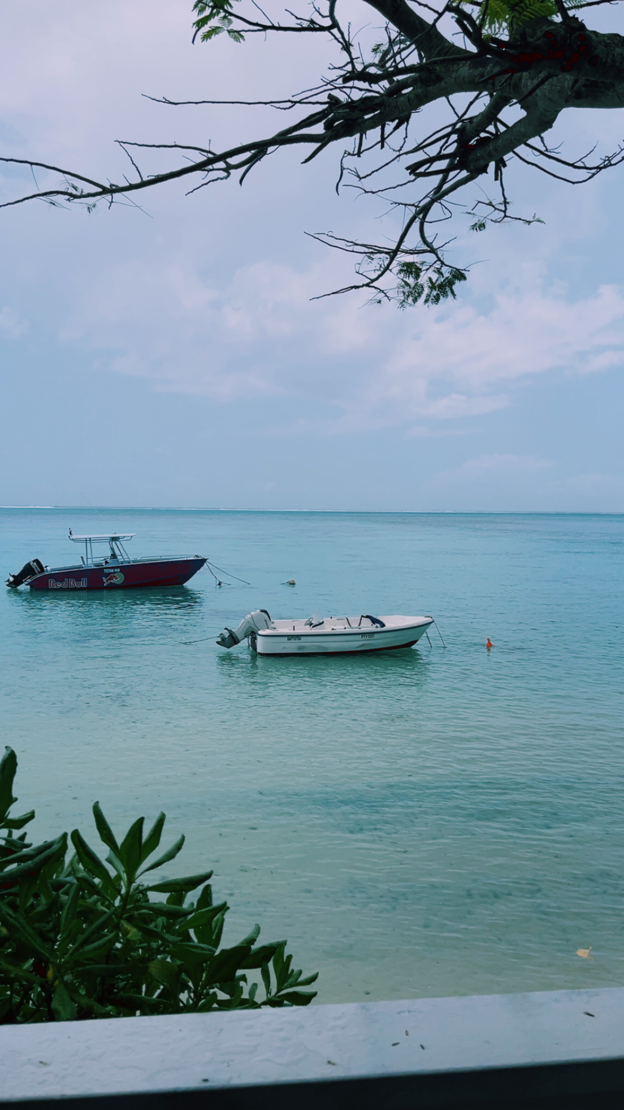 Clear Moorea lagoon water near the shore